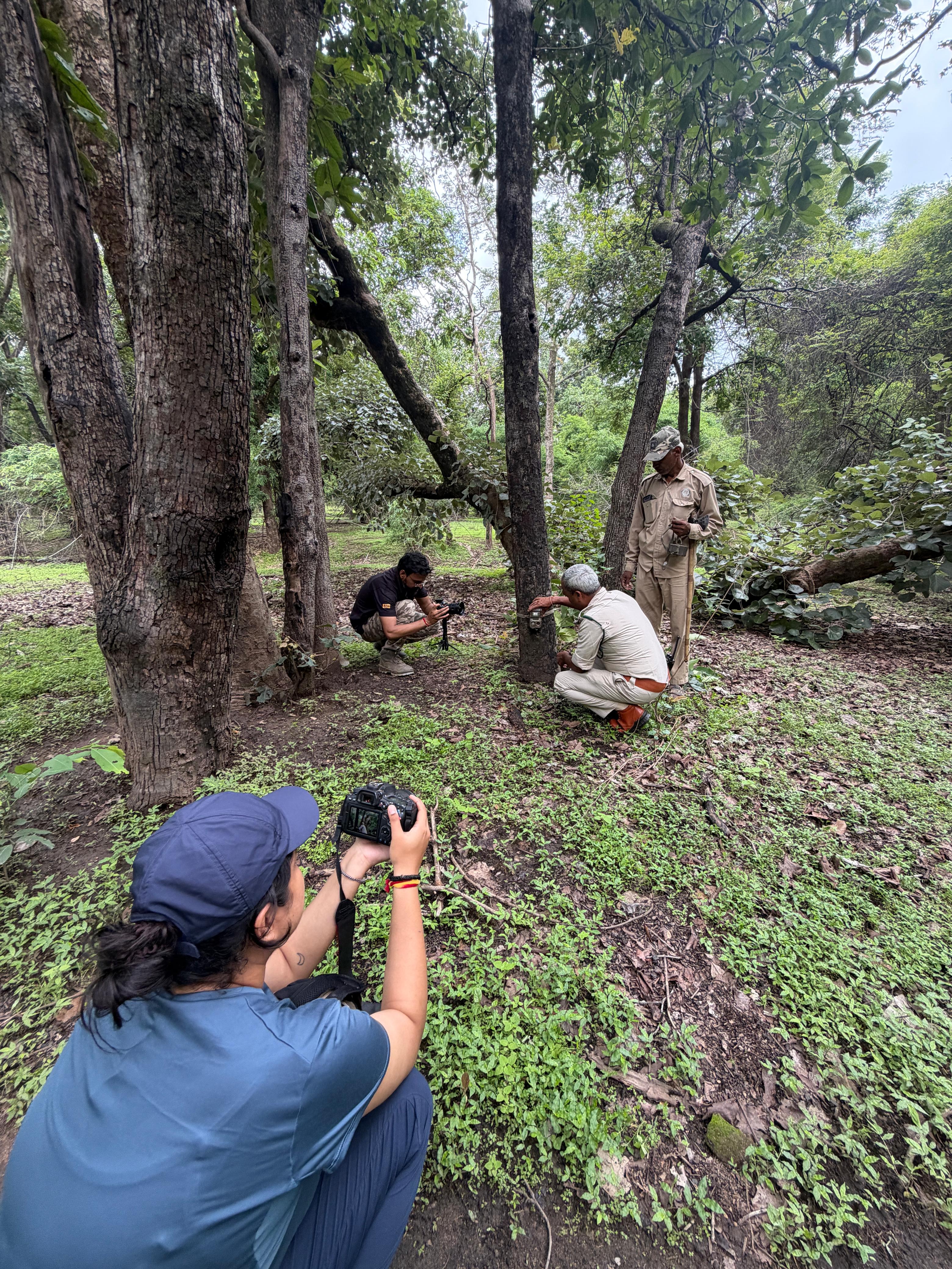 Wildlife documentary scene