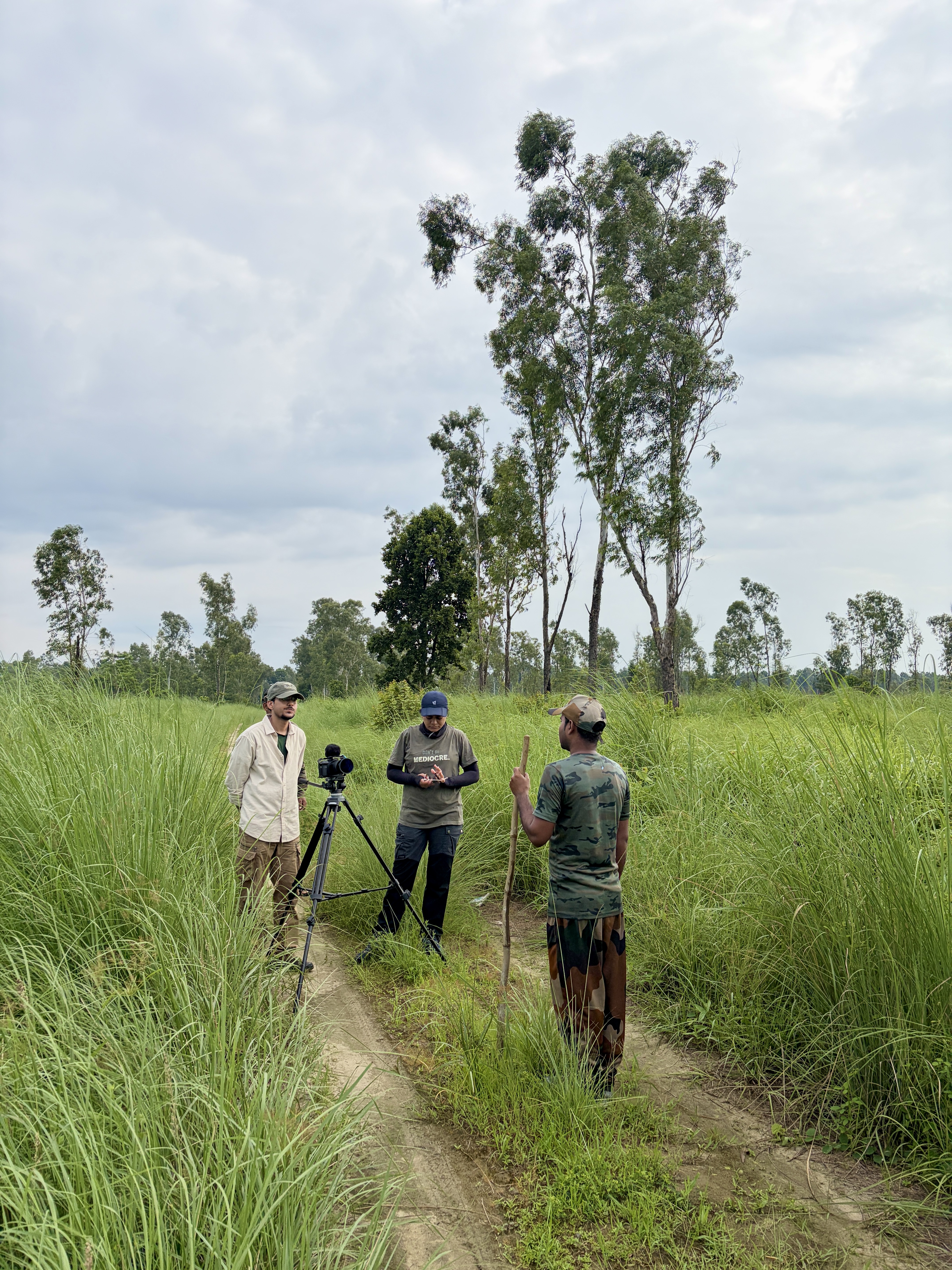 Wildlife documentary scene