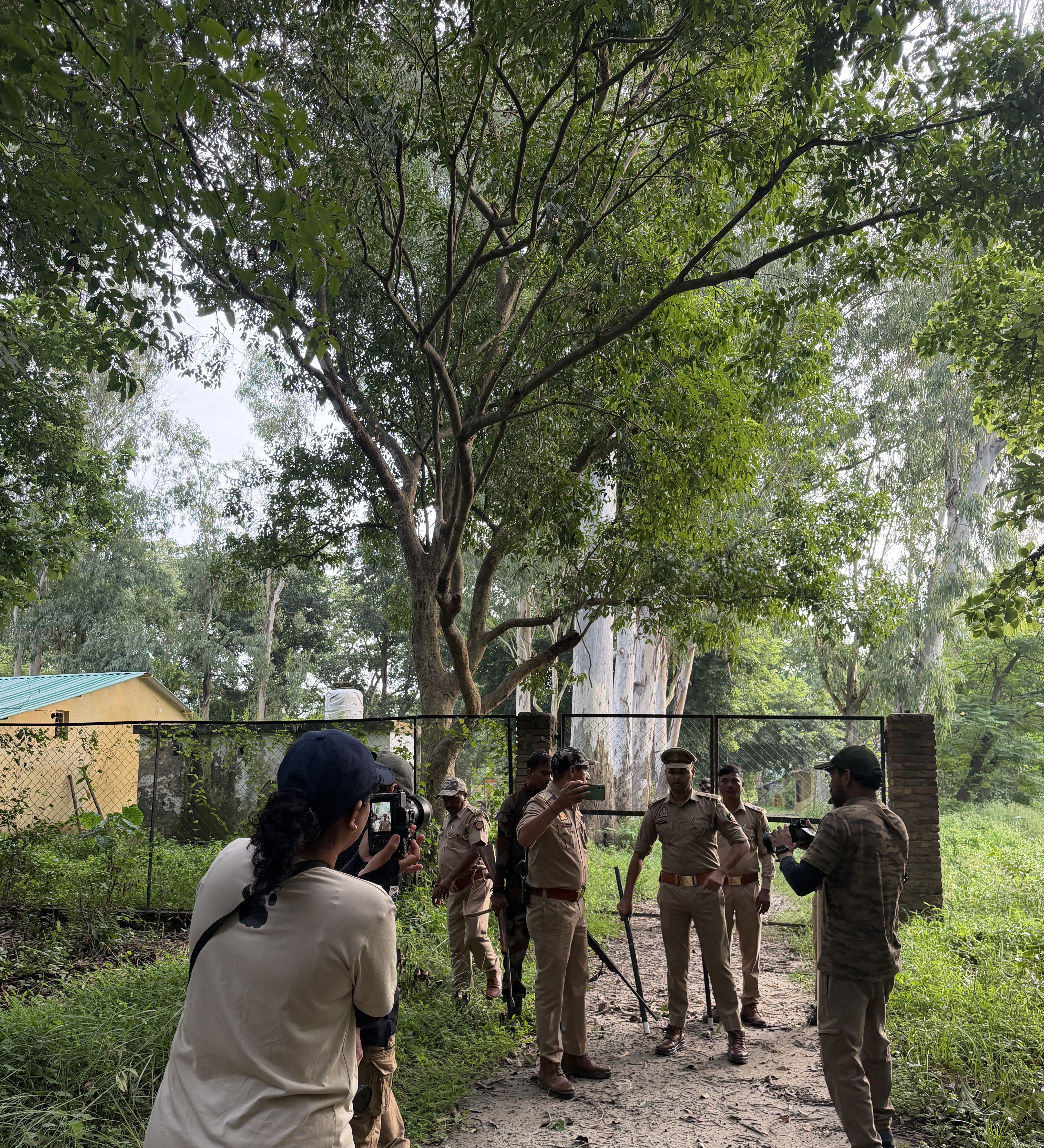 Wildlife documentary scene