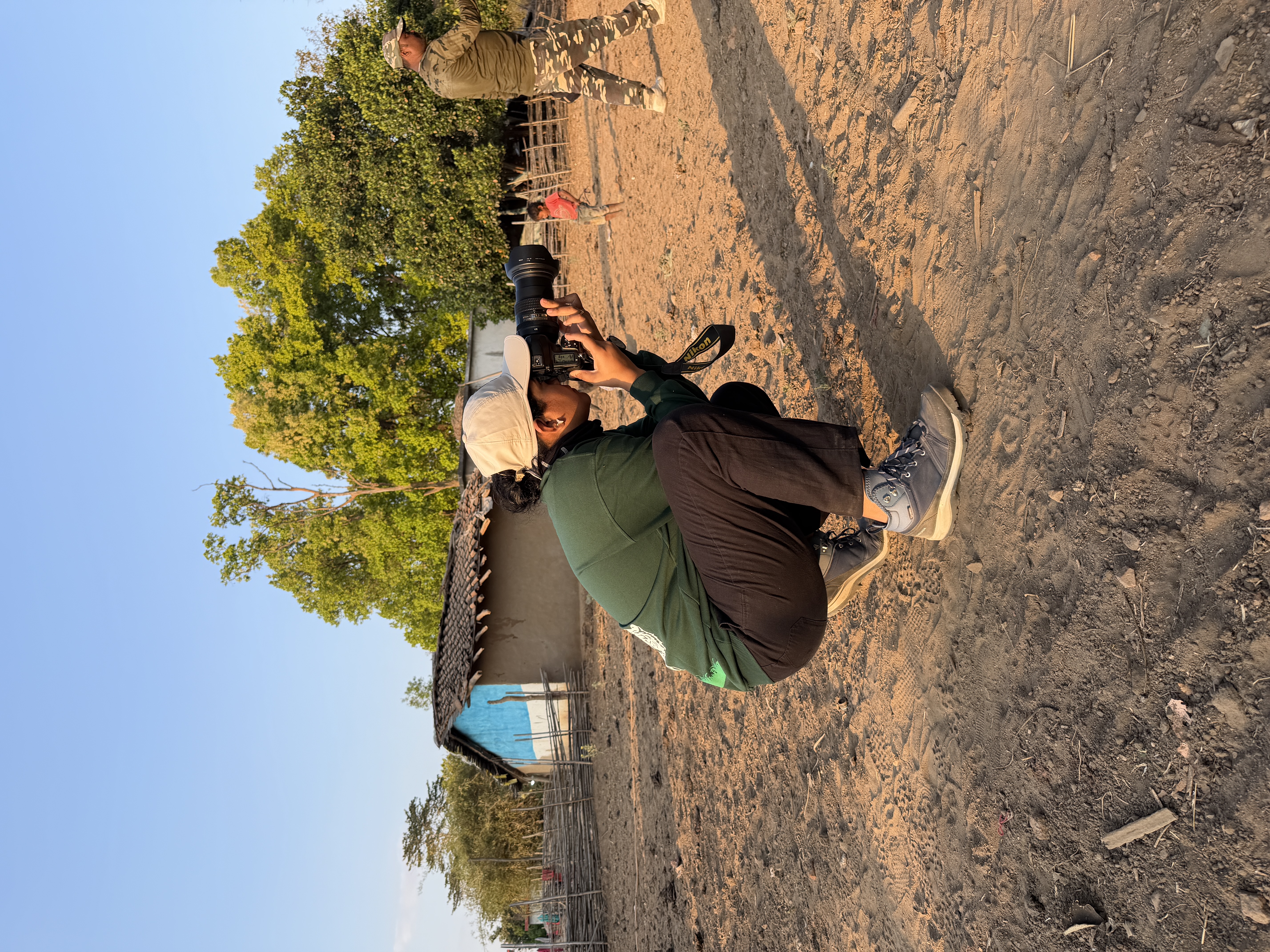 Wildlife documentary scene