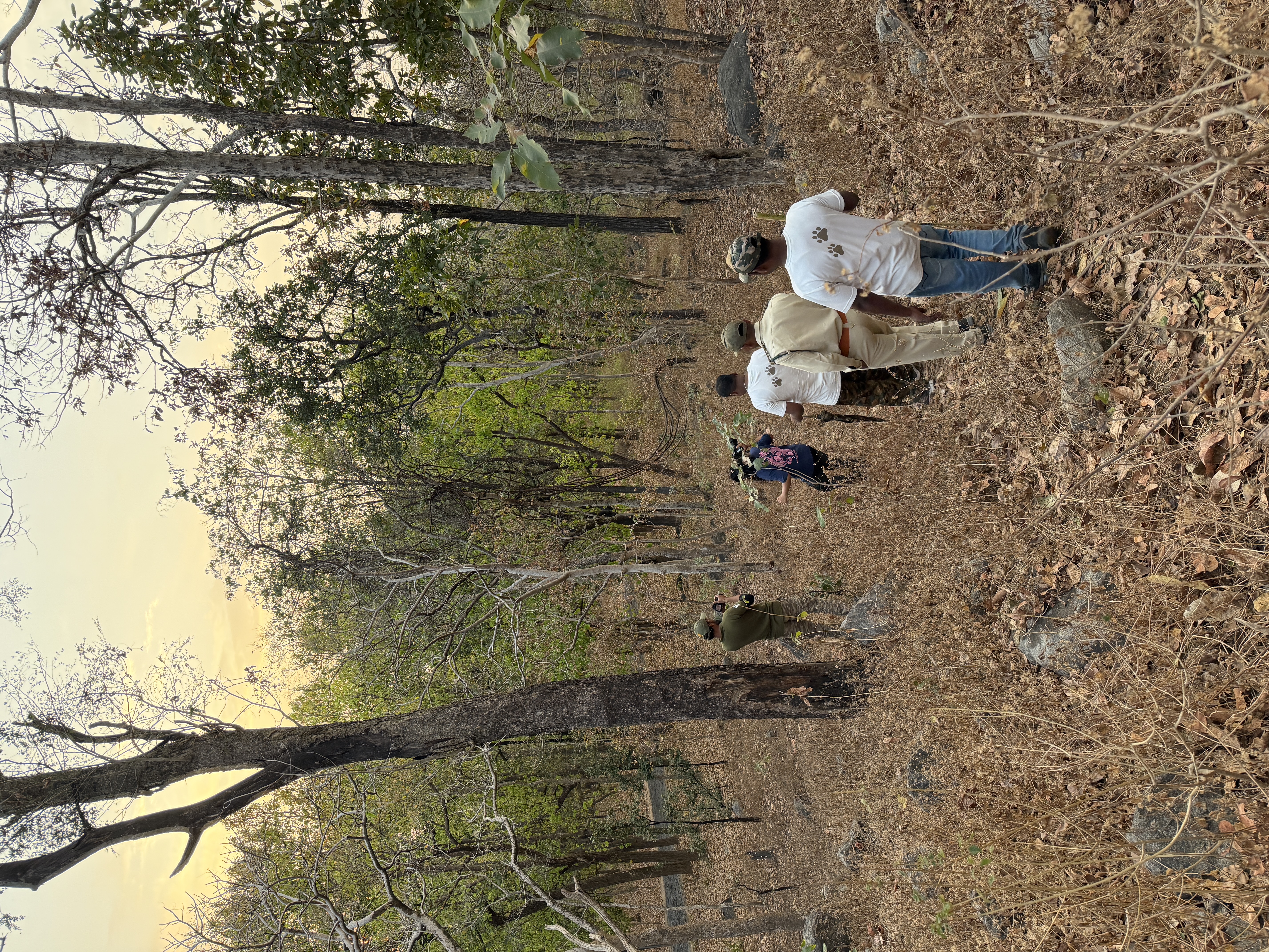 Wildlife documentary scene
